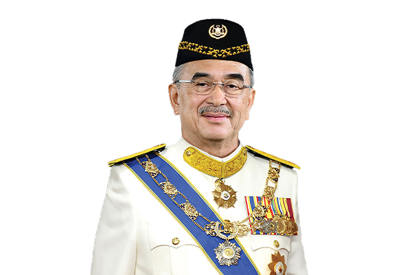 Tun Seri Setia (Dr.) Haji Mohd Ali Bin Mohd Rustam